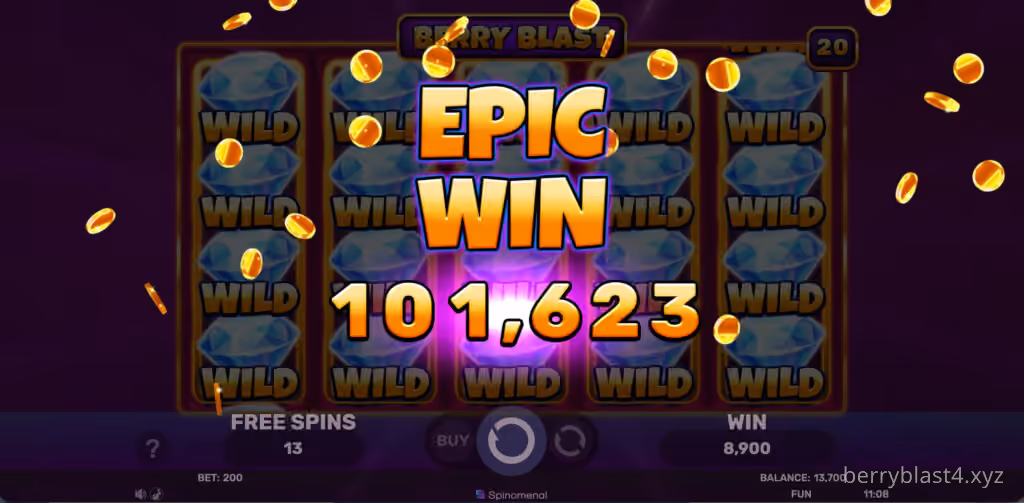 Berry Blast bonus feature
